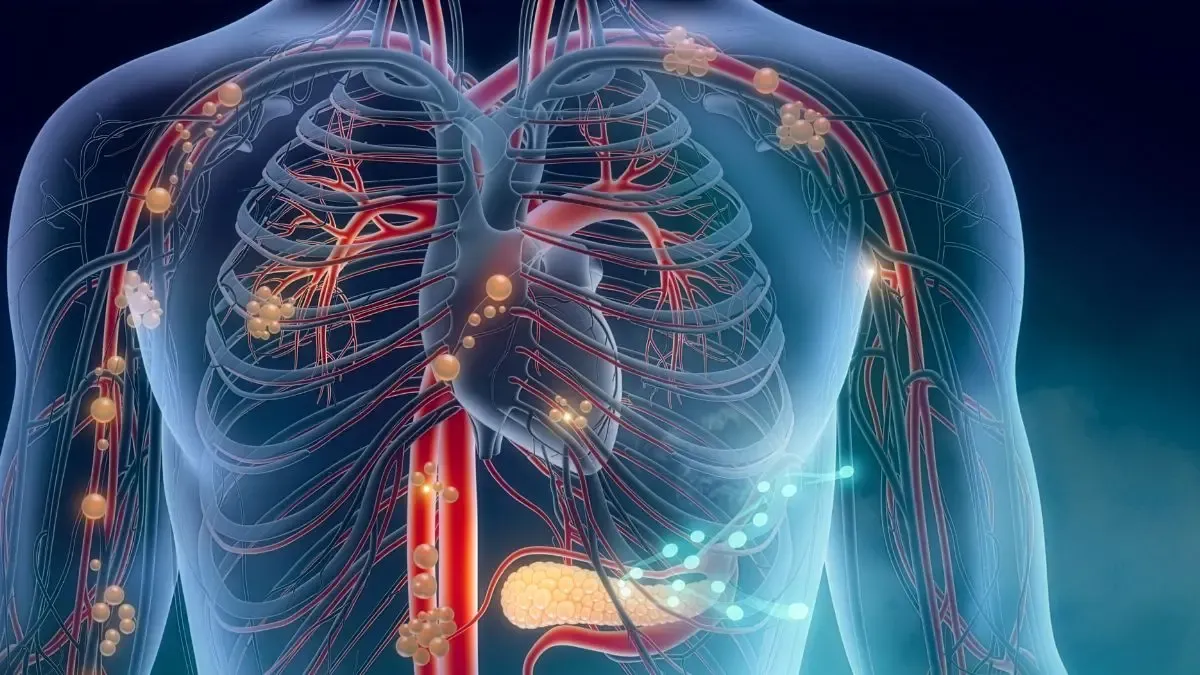 Nobel de Medicina 2026 ilumina novos caminhos para compreender o sistema endocanabinoide