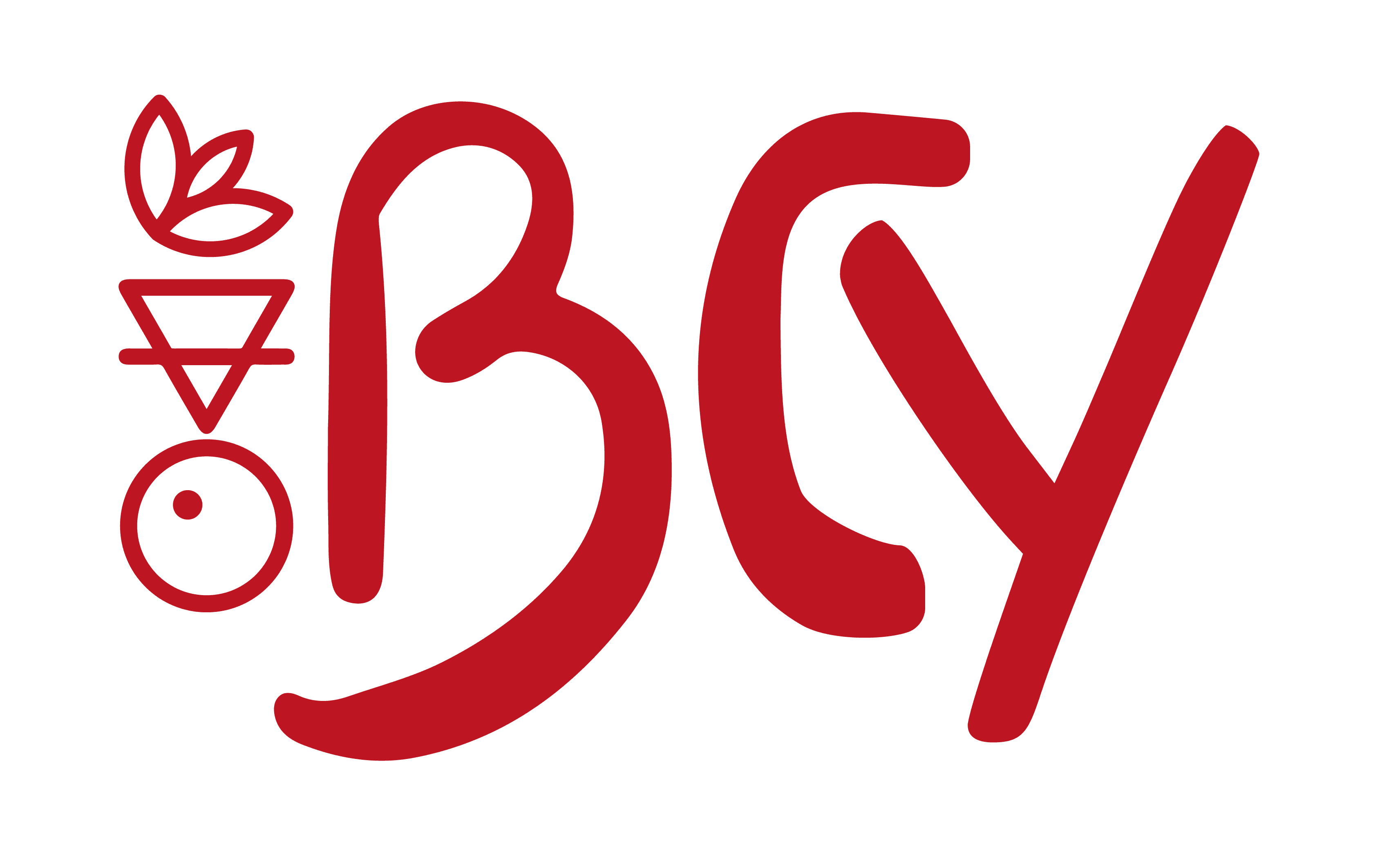 BCY Associação