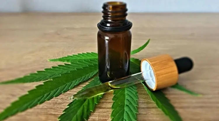 28 de Fevereiro: Doenças raras e o tratamento com cannabis