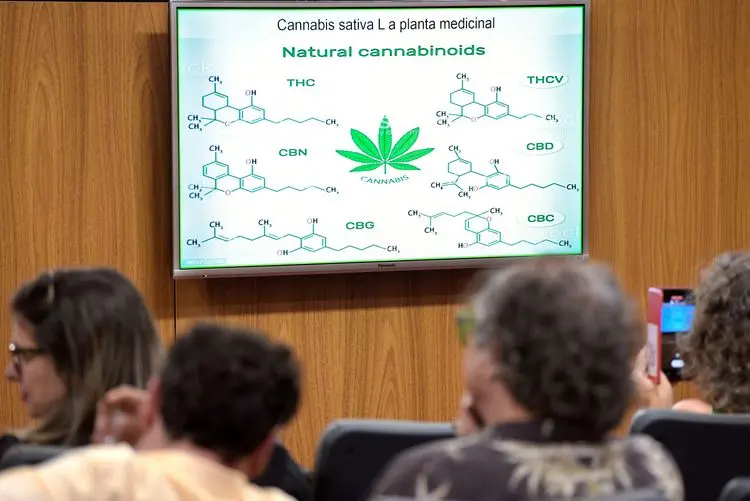 Assembleia de Minas Gerais retoma debate sobre cannabis e ciência