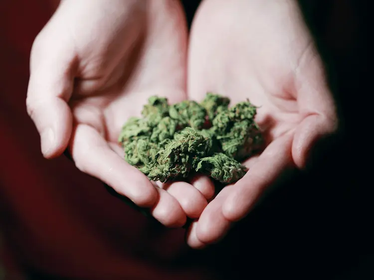 A ascensão da cannabis Gamma: A explosão na compra nas farmácias uruguaias
