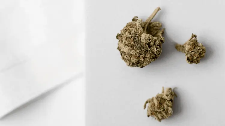 A ciência por trás da combinação de cogumelos e cannabis como tratamento médico