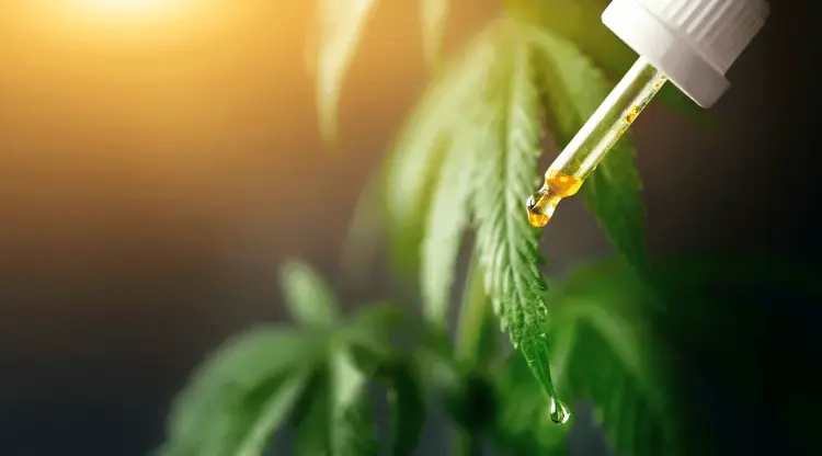 A revolução da cannabis medicinal no tratamento de diversas doenças