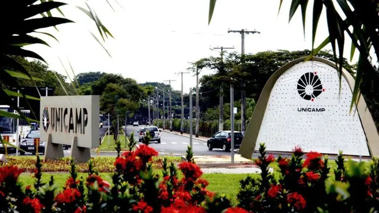 Unicamp integra proposta técnica encaminhada à Anvisa para regulamentação do cultivo de cannabis no Brasil