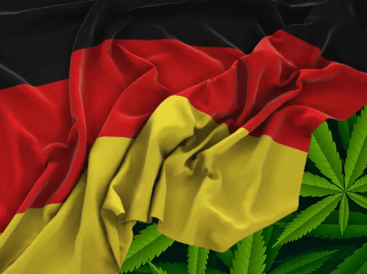 Vendas de cannabis medicinal ultrapassarão os US$ 455 milhões em 2024 