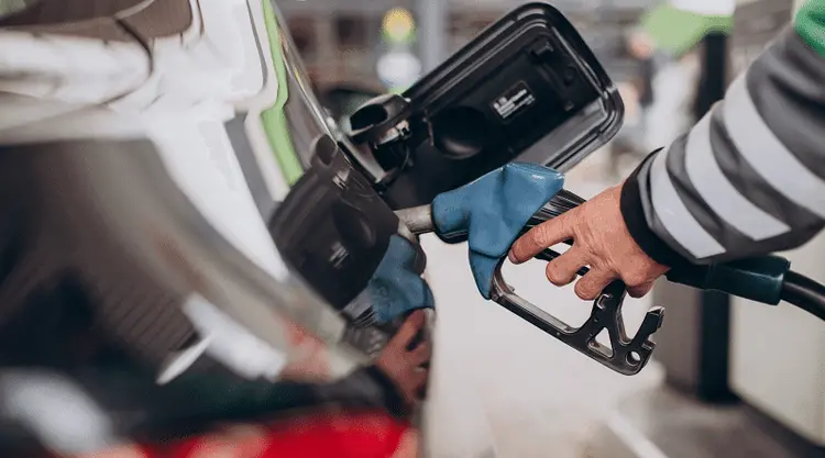 Assustado com os preços dos combustíveis? O cânhamo pode ser uma solução