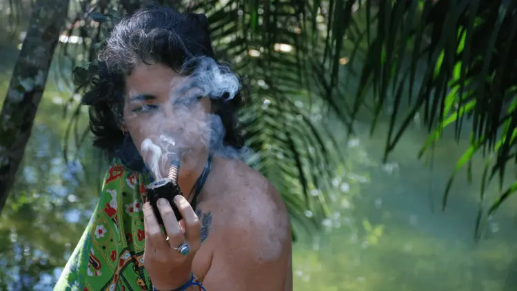 Cannabis no feminino: raízes ancestrais e potência de cura