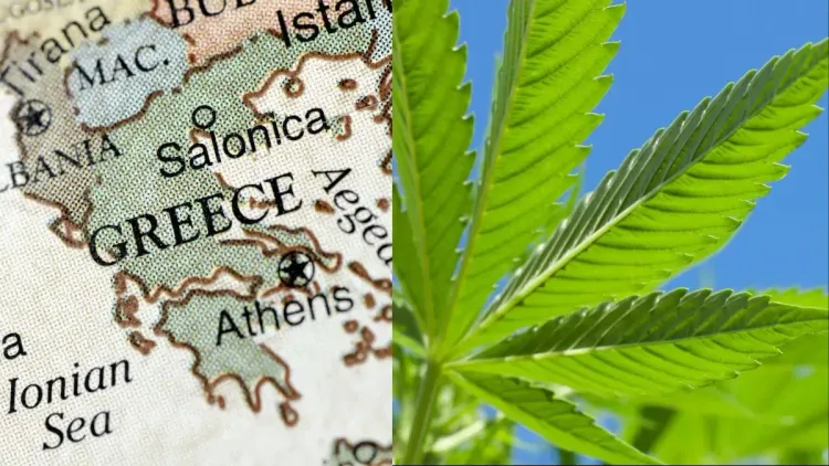 CBD na Grécia: o que muda para o espectro completo