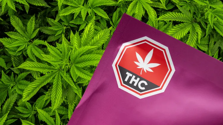 Empresas de cannabis em Illinois enfrentam ação coletiva por rotulagem enganosa e excesso de THC