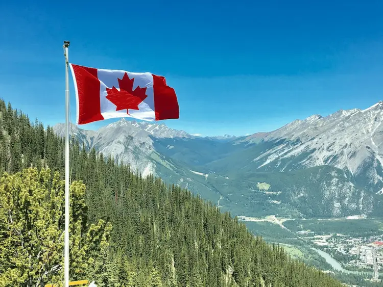 Canadá: 92% da cannabis ilegal contêm pesticidas