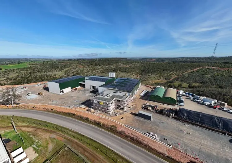 Empresa aposta fortemente em construções com blocos de cânhamo e investe 22 milhões de euros em nova fábrica