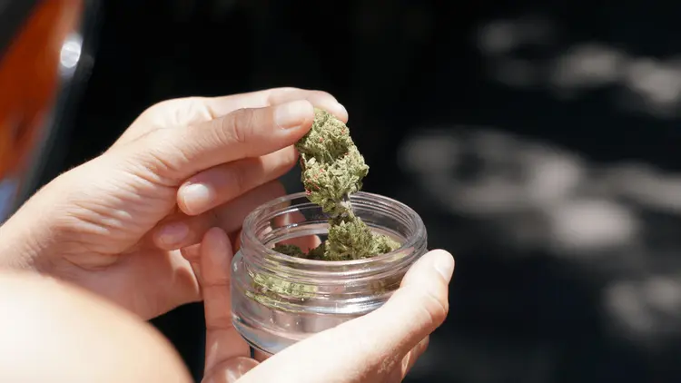 No Canadá: por qué tanta gente está fumando más y más cannabis