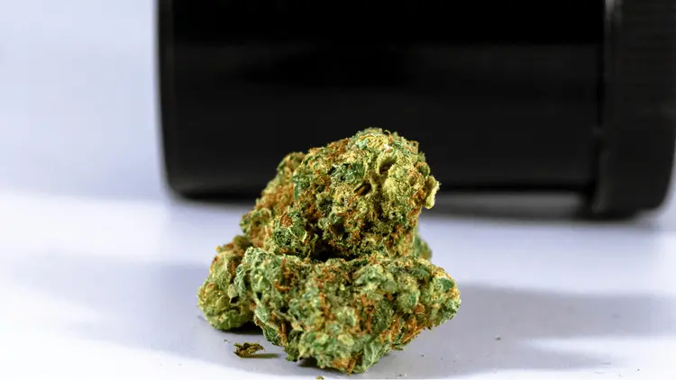 Mesmo com apoio do judiciário, senado de Dakota do Norte (EUA) barra descriminalização da maconha
