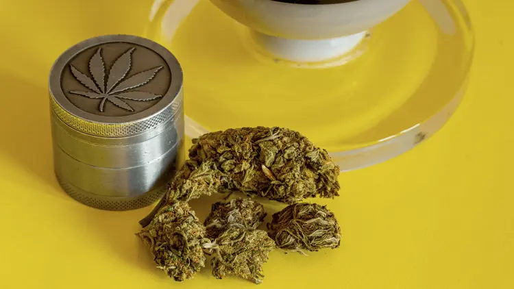 Riscos do uso adulto: é possível ter uma overdose ou morrer por causa da cannabis?