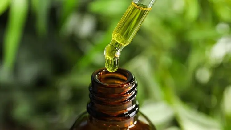 Anvisa prohibits cannabis products; companies involved claim outdated information
