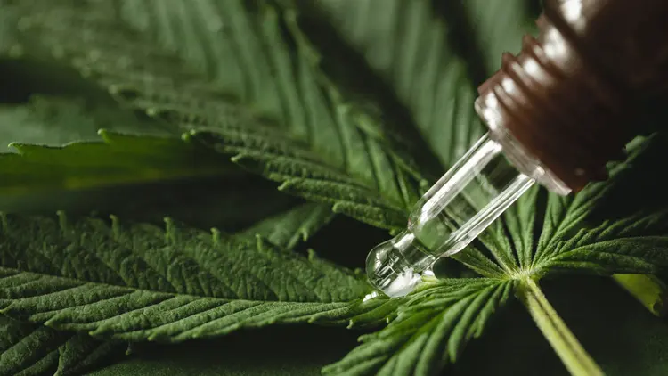 A esperança no tratamento da inflamação crônica pode estar na cannabis medicinal