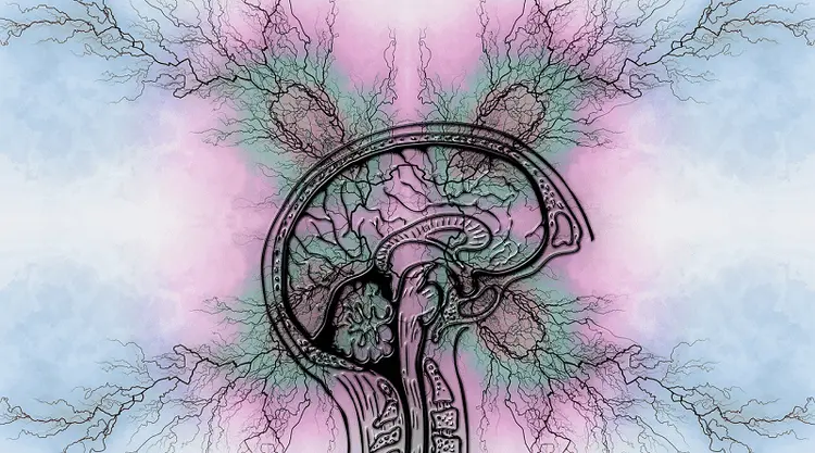 Cannabis e Síndrome de Tourette, entenda essa relação