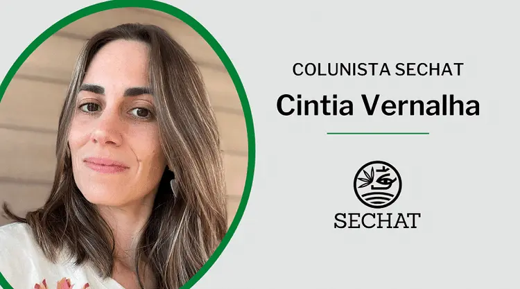 Cannabis e celebridades: uma parceria que pode dar certo