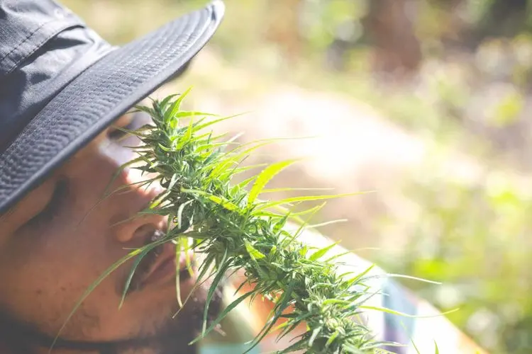 Cannabis e sexo: a maconha é nossa aliada para conseguir orgasmos mais intensos, confirma outro estudo