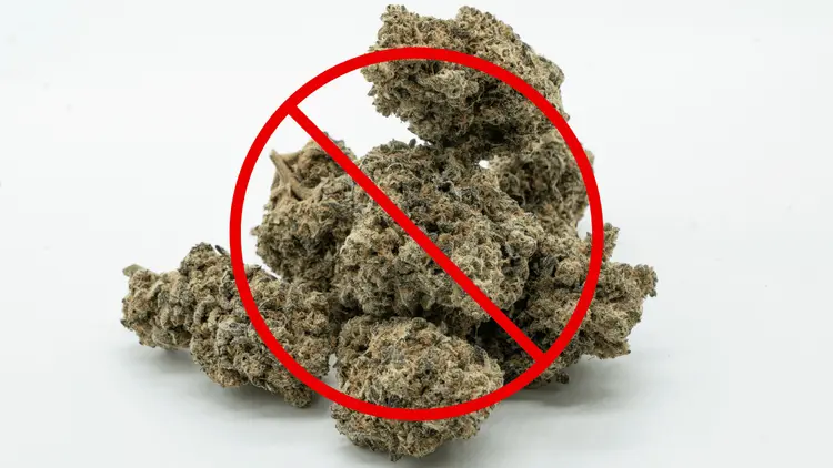 Senado do Texas deve proibir todas as formas de THC em 2025, segundo vice-governador