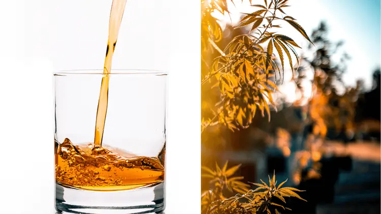 Menos ressaca, mais cannabis: novo hábito dos consumidores preocupa setor de bebidas