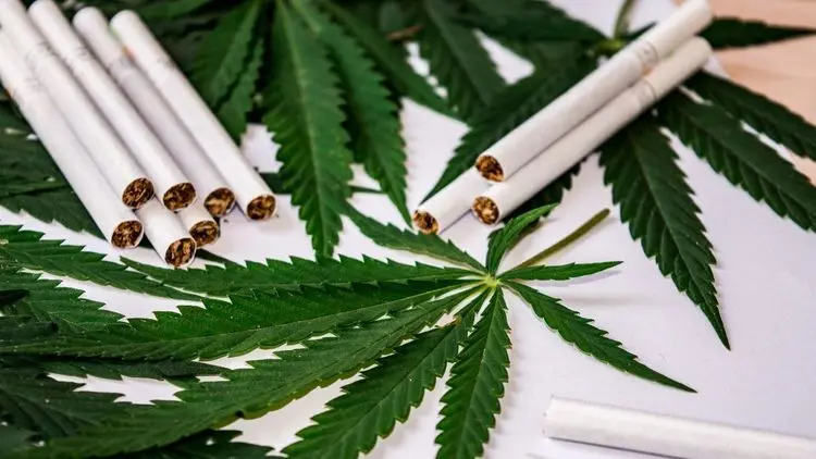 Portugal proíbe comercialização de CBD e THC em produtos de tabaco e cigarros eletrônicos