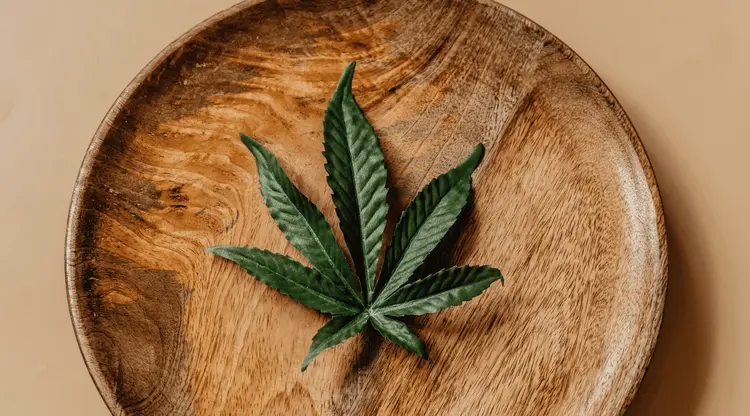 OAB-RJ recebe evento sobre Cannabis e Movimentos Sociais