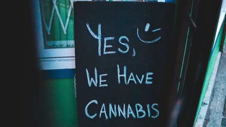 Califórnia acelera mudanças para empresas de cannabis aproveitarem nova política federal dos EUA