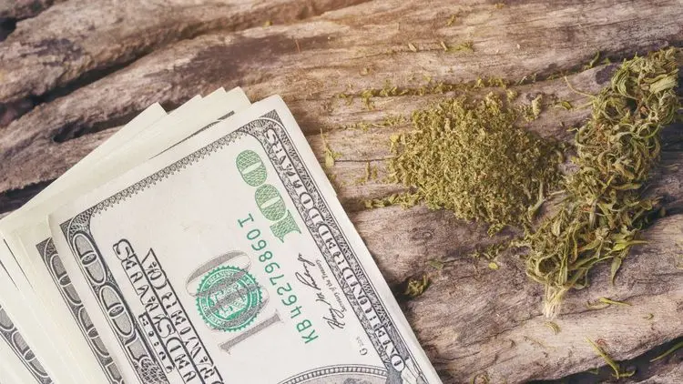 Cannabis gera US$ 248 milhões em impostos e reforça força econômica da Califórnia