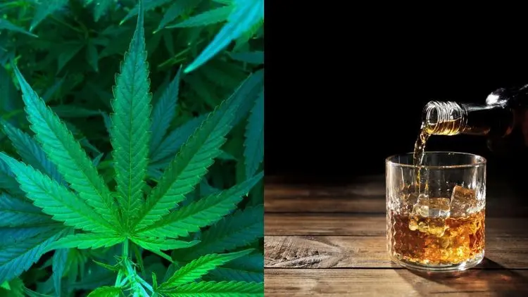 Cânhamo vira campo de batalha nos EUA e une rivais da cannabis, álcool e proibicionismo