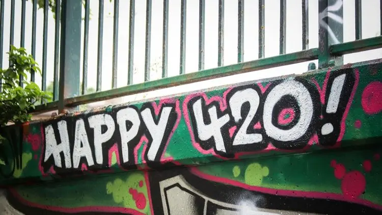Cannabis no 4/20: o “Black Friday verde” ainda movimenta o setor?