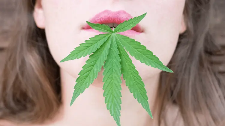 Larica? Veja quais tipos de alimentos a cannabis faz você desejar mais