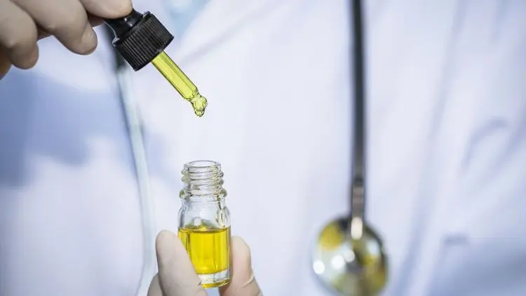 Brasil pode liderar exportação de cannabis medicinal