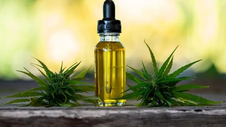 Cannabis medicinal reduz uso de medicamentos prescritos entre pacientes na Alemanha, aponta pesquisa