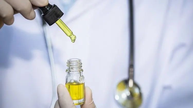 Cannabis medicinal avança e redefine tratamentos no Brasil