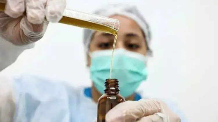Instituto do litoral de SP lança edital para ampliar acesso à cannabis medicinal