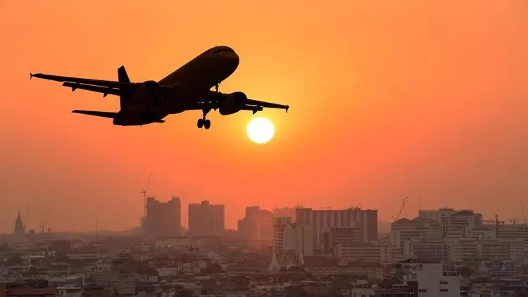 Guia internacional traz orientações para transporte de cannabis medicinal em viagens