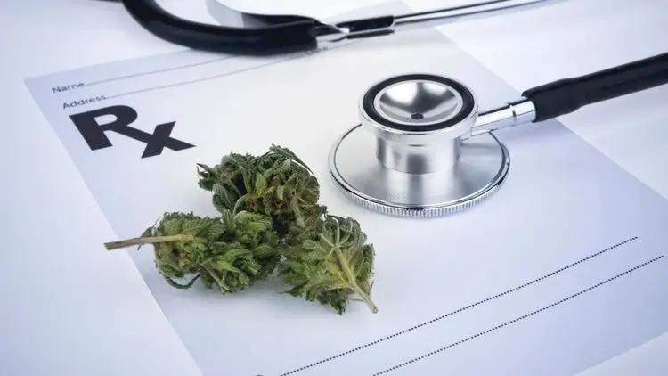 Relatório alemão aponta redução de 84,5% no uso de medicamentos prescritos entre pacientes tratados com cannabis medicinal