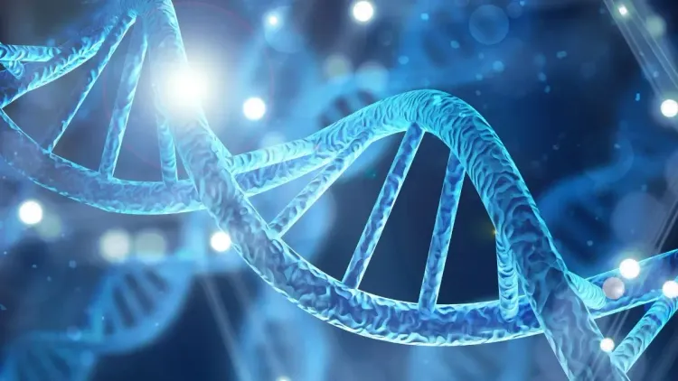 Cânhamo Industrial: O Laboratório da Biotecnologia