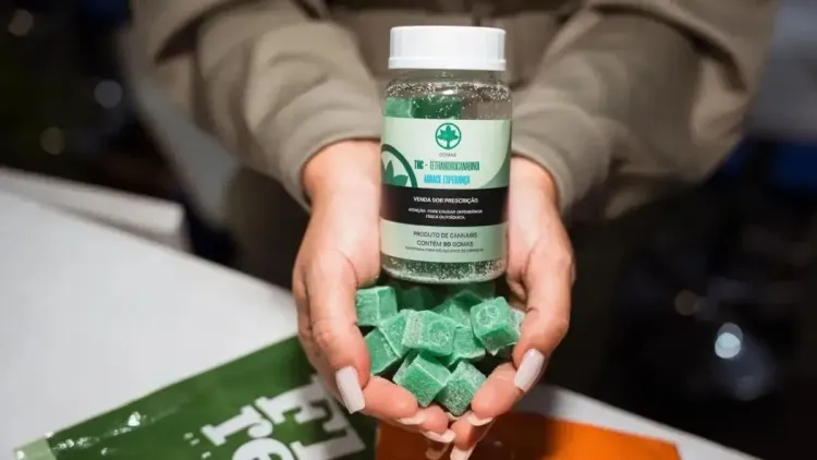 Imagem da noticia: ABRACE Esperança lança gominhas de cannabis medicinal