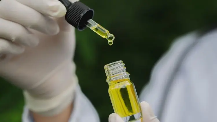 ExpoABC: evento gratuito em Ribeirão Pires debate acesso, bem-estar e cannabis no ABC Paulista