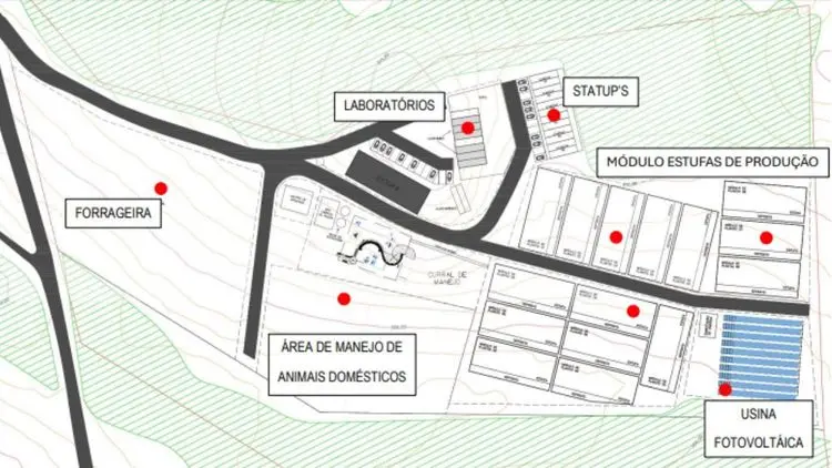 UNESP inaugurates nucleus for research and cultivation of cannabis in a 5.5-hectare area