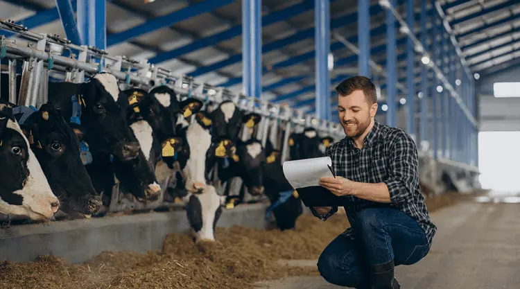 EUA: FDA avalia solicitação sobre liberação de sementes de cannabis para alimentação animal