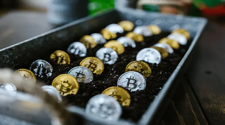 Ecologicamente correto! Cânhamo pode ser usado como fonte de energia sustentável para mineração de Bitcoins