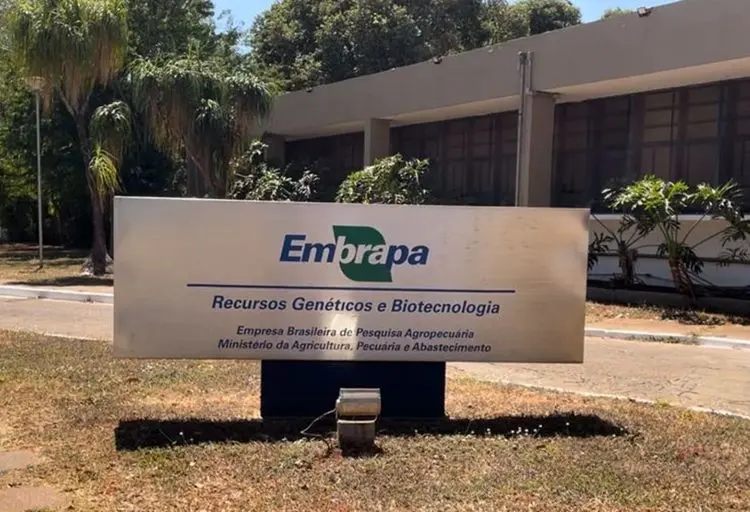 Embrapa solicita autorização junto à Anvisa para iniciar pesquisas com cannabis