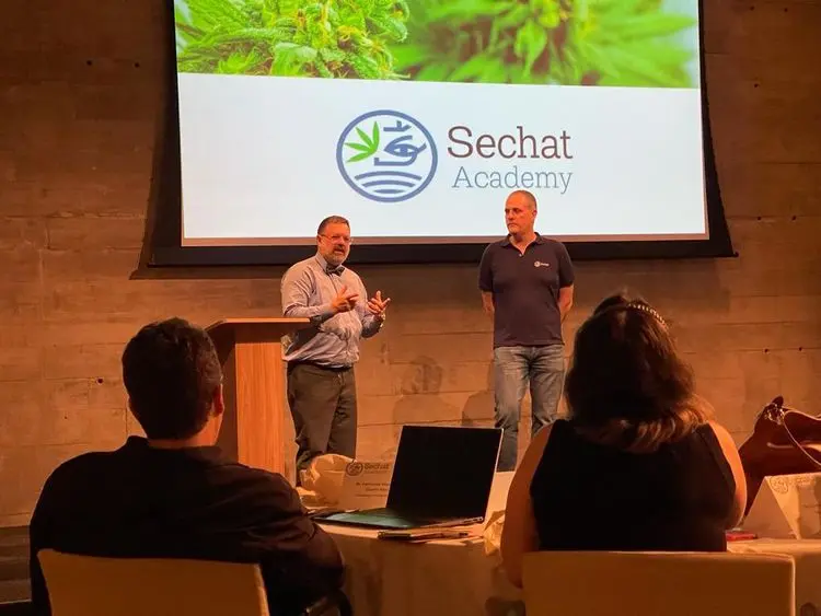 O que o médico precisa saber ao prescrever cannabis medicinal
