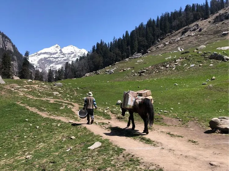 Himachal Pradesh abre mercados para cânhamo industrial e cannabis medicinal