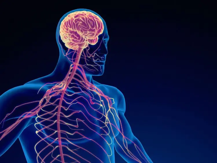 Transtorno de Afetividade e Dor Crônica de uma forma que você nunca viu: Masterclass com Dr. Pedro Pierro
