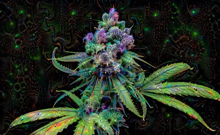 Flavonoides na cannabis