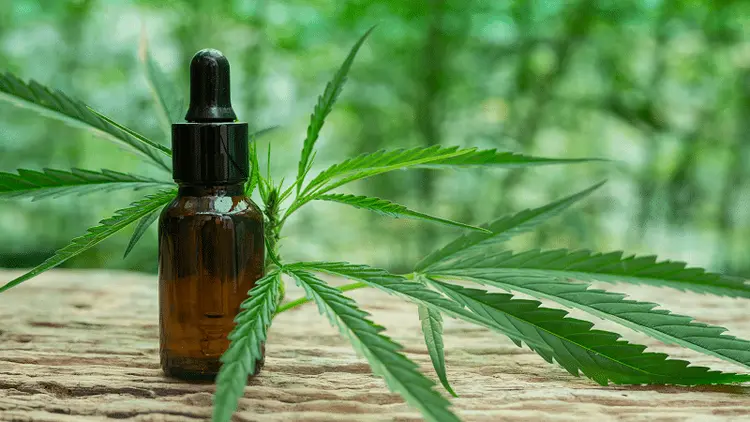 Ways to Access Cannabis Products in Brazil